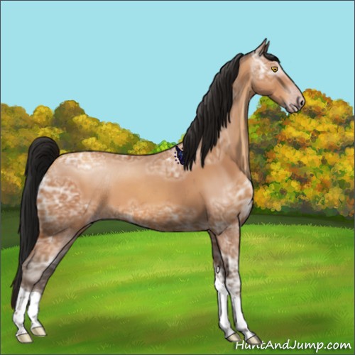 Horse Color:Gray Amber Champagne Ice Tobiano