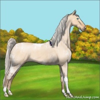 Horse Color:Gray Silver Perlino Ice Roan Dun Tobiano