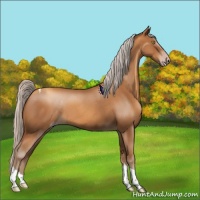Horse Color:Gray Silver Sable Champagne Roan Tobiano 