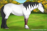Horse Color:Brown Chinchilla Dun 