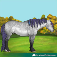 Horse Color:Painted Bay Chinchilla Dun 