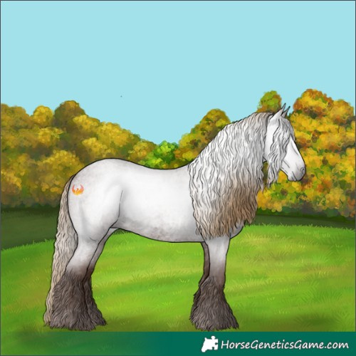 Horse Color:Gray Red Roan