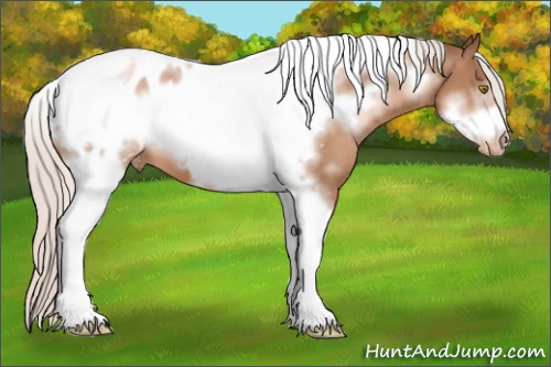 Horse Color:Silver Brown Pearl Sabino Tobiano Frame Appaloosa 