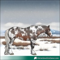 Horse Color:Gray White Spotted Silver Brown Appaloosa 
