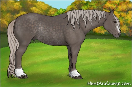 Horse Color:Silver Black Sabino Rabicano 