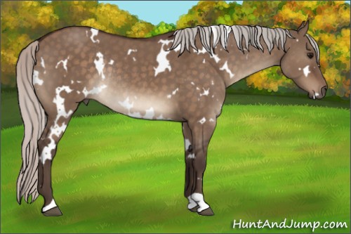 Horse Color:White Spotted Silver Brown Dun Rabicano 