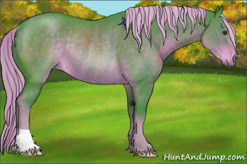 Horse Color:Watercolor Chocolate Palomino Rabicano 