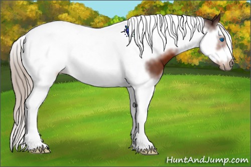 Horse Color:Silver Brown Splash Tobiano Frame