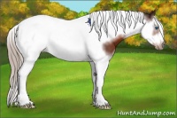 Horse Color:Silver Brown Splash Tobiano Frame 