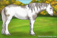 Horse Color:Silver Grullo Sabino Splash Frame 