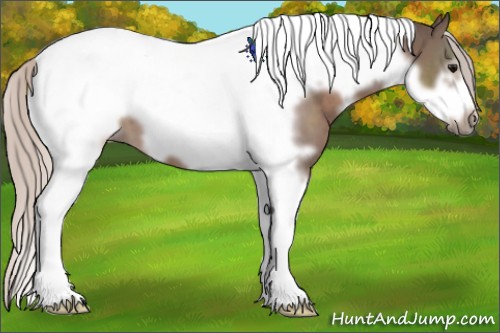 Horse Color:White Spotted Silver Black Tobiano Frame 