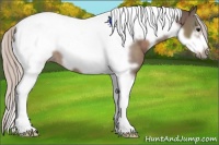Horse Color:White Spotted Silver Black Tobiano Frame 