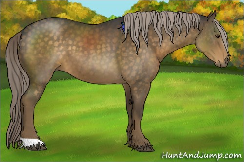Horse Color:Chocolate Palomino 