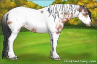 Horse Color:Bay Ice Tobiano Frame