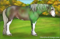 Horse Color:Silver Black Sabino 