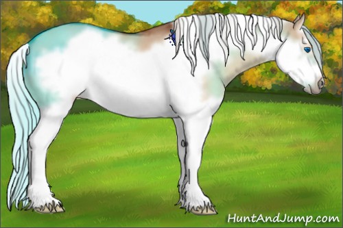 Horse Color:Silver Brown Dun Sabino Splash Frame