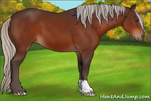 Horse Color:Silver Brown 