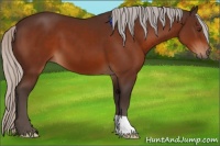Horse Color:Silver Brown 