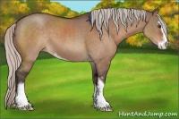 Horse Color:Silver Brown Dun Sabino