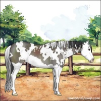 Horse Color:White Spotted Grullo Sabino Splash 