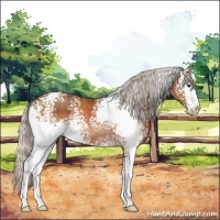 Horse Color:White Spotted Silver Brown Sabino Rabicano 