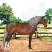 Horse Color:Silver Brown 