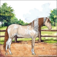 Horse Color:White Spotted Buckskin Pearl Dun 