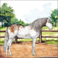 Horse Color:White Spotted Silver Brown Sabino Splash 