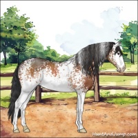 Horse Color:White Spotted Brown Rabicano 