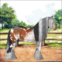 Horse Color:White Spotted Brown 