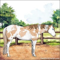Horse Color:White Spotted Bay Pearl Splash 