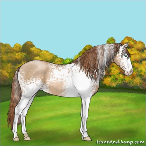Horse Color:White Spotted Smoky Black Pearl 