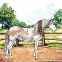 Horse Color:White Spotted Black Pearl Splash Rabicano 