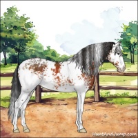 Horse Color:White Spotted Brown