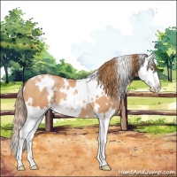 Horse Color:White Spotted Bay Pearl Splash 