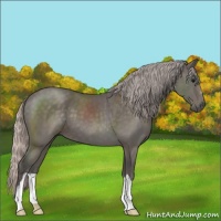 Horse Color:Silver Black 