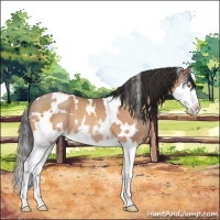 Horse Color:White Spotted Sable Champagne Splash 
