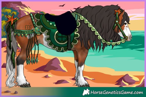 Horse Color:Bay Splash Frame 