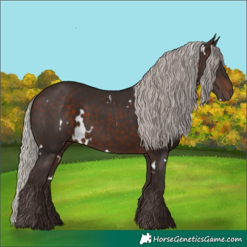 Horse Color:White Spotted Silver Brown