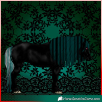 Horse Color:Void Painted White Spotted Silver Classic Champagne Chinchilla Dun Tobiano Blanket Rabicano Brindle 