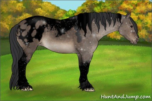Horse Color:Void Brown Dun Tobiano Blanket 