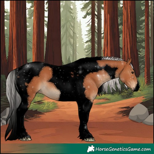 Horse Color:Void Silver Bay Tobiano 