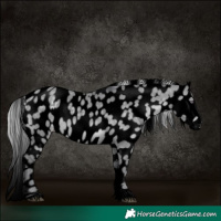 Horse Color:Void Silver Grullo Chinchilla Near Leopard 