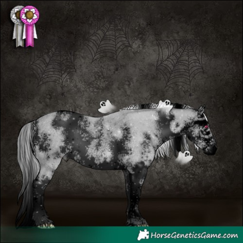 Horse Color:Void Silver Bay Chinchilla Sabino Splash Rabicano