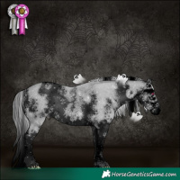 Horse Color:Void Silver Bay Chinchilla Sabino Splash Rabicano