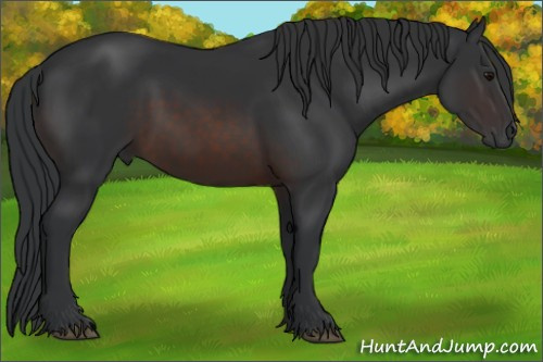 Horse Color:Brown 