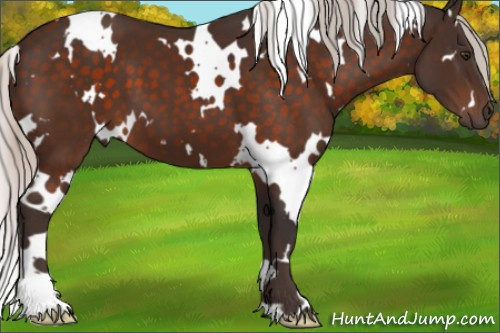 Horse Color:White Spotted Silver Brown 
