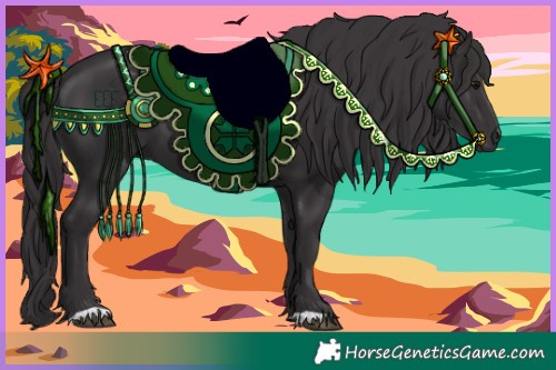 Horse Color:Smoky Black 