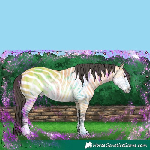 Horse Color:Buckskin Frame 