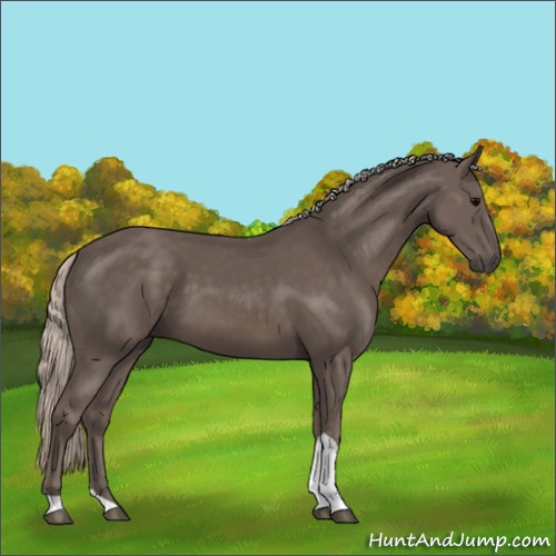 Horse Color:Silver Black Tobiano 